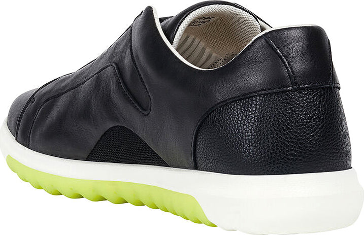 GEOX Nexside Sneaker  Men